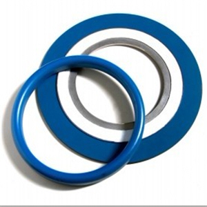 ANSI B16.20 PTFE Xylan Coated Gasket