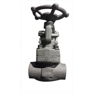 API 602 Globe Valve, 1/2 Inch, 1500 LB