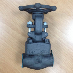 ASTM A105N Forged Gate Valve, 800LB, NPT, API 602