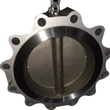 Carbon Steel Lug Check Valve, 150#, RF, 12 Inch