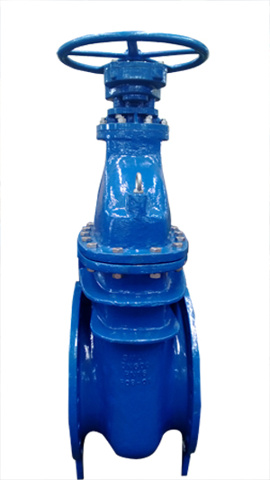 Ductile Iron Gate Valve, PN16, DN600, SS316 Stem