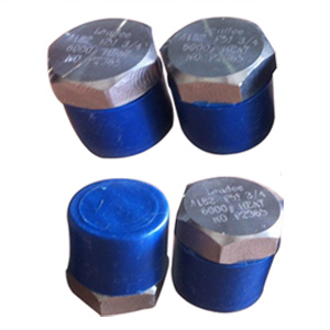 Hex Head Plug, ASTM A182 GR F51, UNS S31803, MNPT Ends