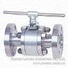 Forged Steel Floating Ball Valves