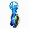 PN16 Butterfly Valves