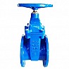 Cast Iron / Ductile Iron Non-Rising Stem Gate Valves