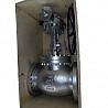 Flanged Cast Steel Globe Valve, OS&Y, A216 WCB, Gear Op