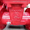 ANSI ASTM A536 Gate Valve, 200 PSI, 12 Inch, OS&Y