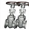 API 600 Full Bore Gate Valve, WCB, 3 Inch, RF