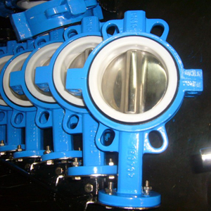 Split Wafer Butterfly Valve, DN50, SS316 Disc