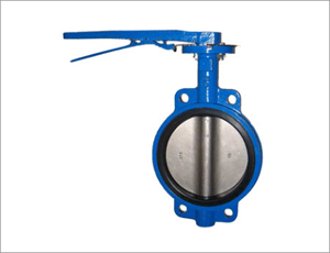 Wafer Butterfly Valve, API 609, 3 Inch, WCB, 600#